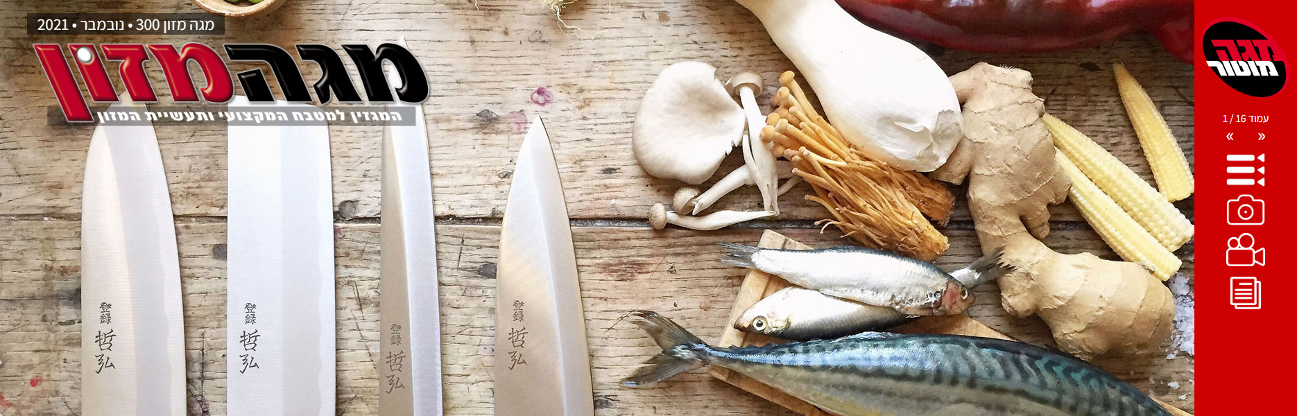 בניית אתרי אינטרנט 