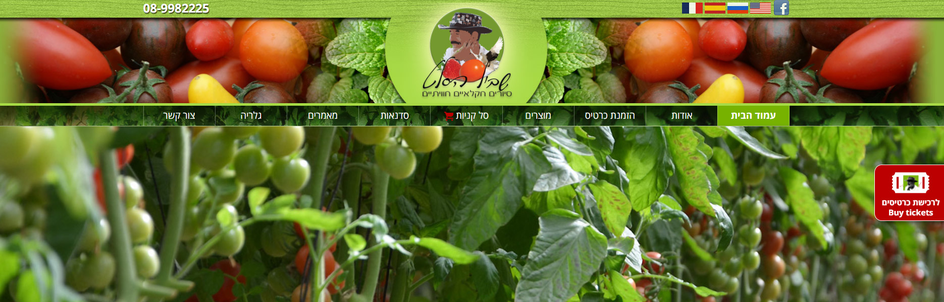 בניית אתרי תדמית 